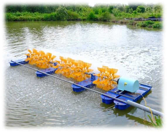Phao dàn quạt nuôi tôm